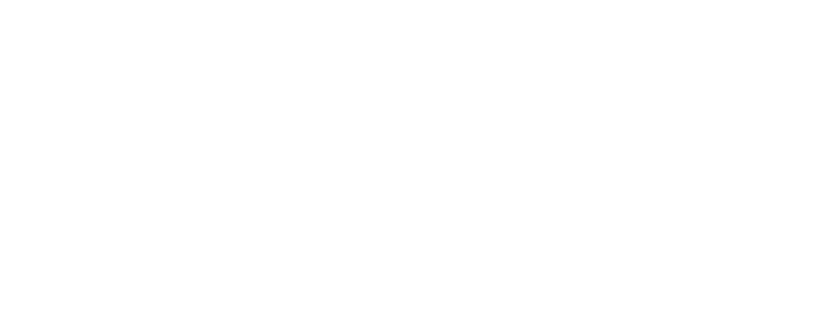 BlemInk